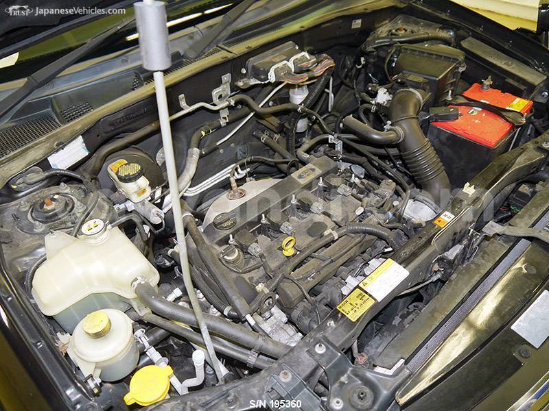 Big with watermark 24