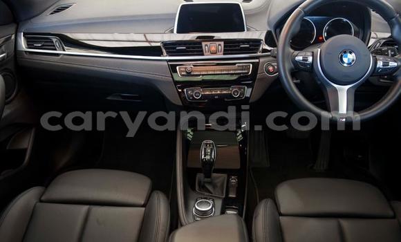 Tenga Tsaru BMW X2 Concept Beige Mota in Lusaka in Zambia Tenga Tsaru BMW X2 Concept Beige Mota in Lusaka in Zambia