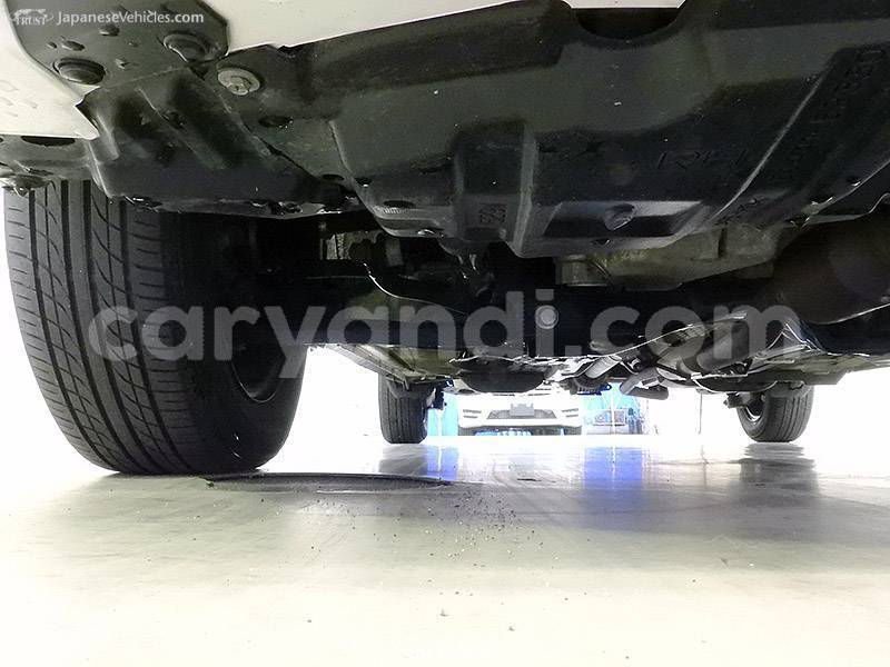 Big with watermark 10