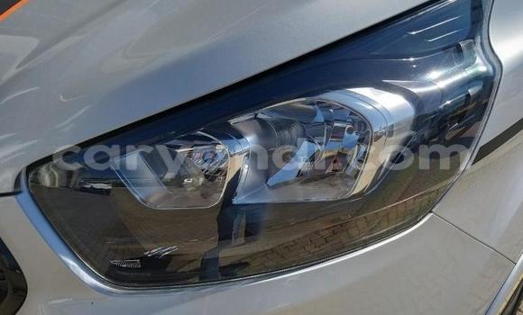 Acheter Occasion Voiture Ford Pickup Autre à Solwezi, Nord-Ouest Acheter Occasion Voiture Ford Pickup Autre à Solwezi, Nord-Ouest