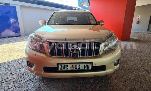 Buy Used Toyota Land Cruiser Prado Other Car in Lusaka in Zambia