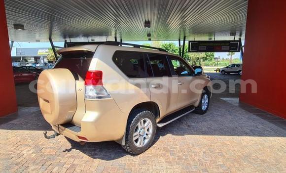 Acheter Occasion Voiture Toyota Land Cruiser Prado Autre à Lusaka, Zambie Acheter Occasion Voiture Toyota Land Cruiser Prado Autre à Lusaka, Zambie