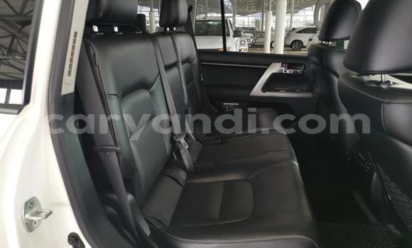 Acheter Occasion Voiture Toyota Land Cruiser Blanc à Mazabuka, Du sud Acheter Occasion Voiture Toyota Land Cruiser Blanc à Mazabuka, Du sud