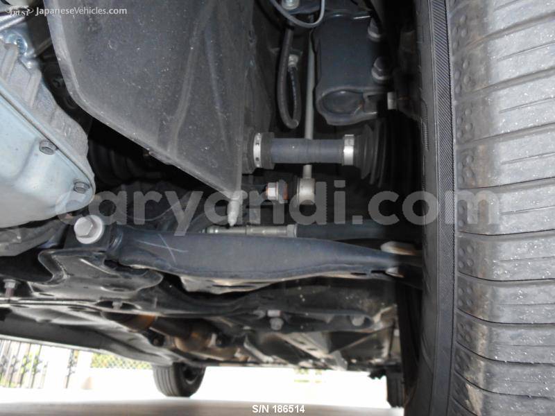 Big with watermark 13