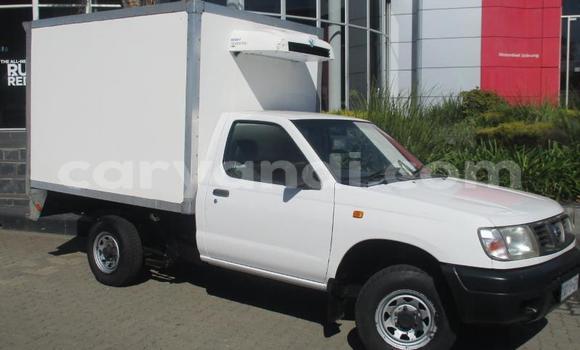 Tenga Tsaru Nissan Hardbody Chena Mota in Siavonga in Southern