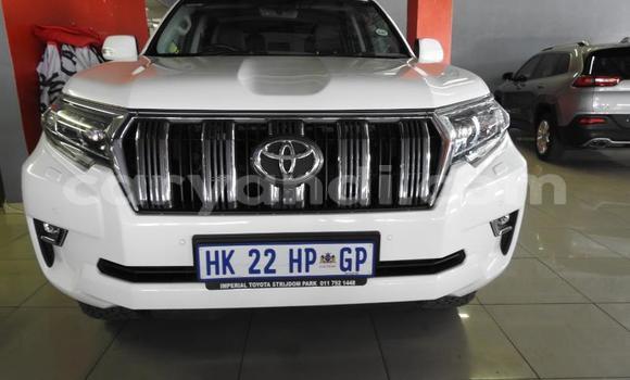 Acheter Occasion Voiture Toyota Hilux Blanc à Lusaka, Zambie Acheter Occasion Voiture Toyota Hilux Blanc à Lusaka, Zambie