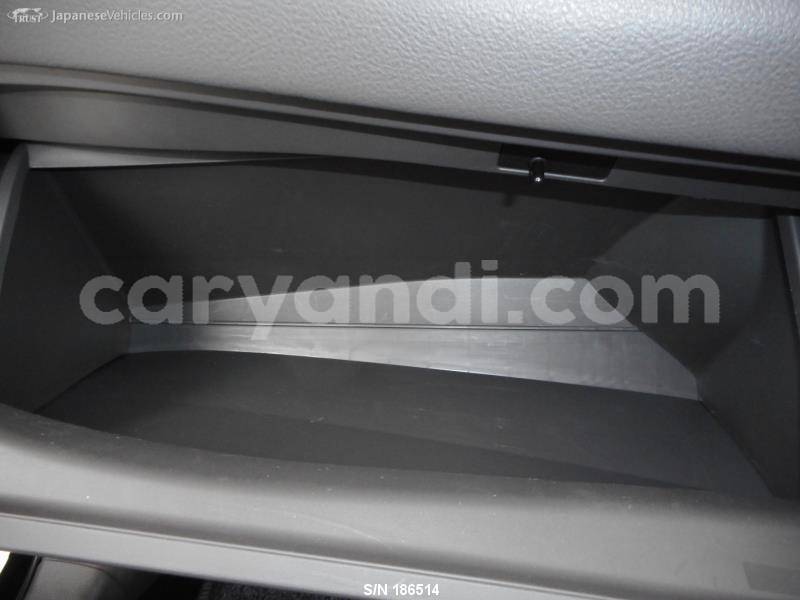 Big with watermark 19