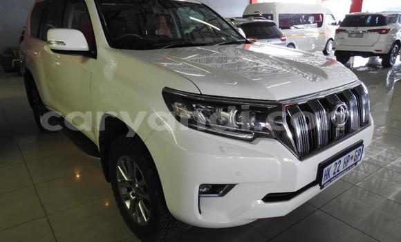 Acheter Occasion Voiture Toyota Hilux Blanc à Lusaka, Zambie Acheter Occasion Voiture Toyota Hilux Blanc à Lusaka, Zambie