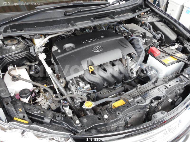 Big with watermark 23