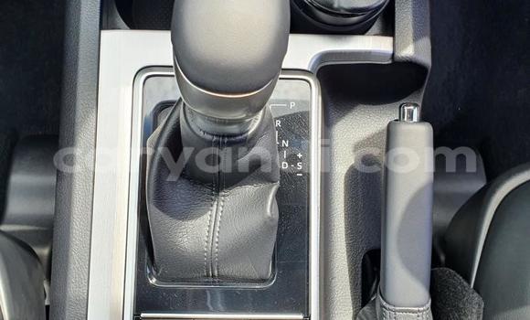 Acheter Occasion Voiture Toyota Land Cruiser Prado Blanc à Kabwe, Zambie Acheter Occasion Voiture Toyota Land Cruiser Prado Blanc à Kabwe, Zambie