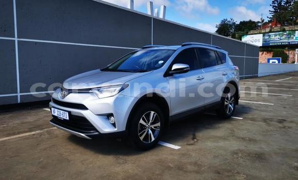 Acheter Occasion Voiture Toyota RAV4 Gris à Mpika, Nord Acheter Occasion Voiture Toyota RAV4 Gris à Mpika, Nord