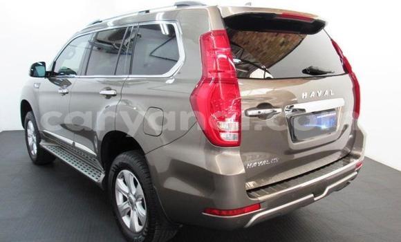 Tenga Tsaru Haval H9 Zvimwe Mota in Chipata in Zambia Tenga Tsaru Haval H9 Zvimwe Mota in Chipata in Zambia