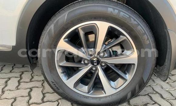 Tenga Tsaru Haval H9 Zvimwe Mota in Chipata in Zambia Tenga Tsaru Haval H9 Zvimwe Mota in Chipata in Zambia