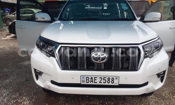 Nunua Ilio tumika Toyota Prado Nyeupe Gari ndani ya Lusaka nchini Zambia