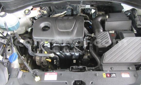 Buy Used Kia Sportage Silver Car in Chambishi in Copperbelt Buy Used Kia Sportage Silver Car in Chambishi in Copperbelt