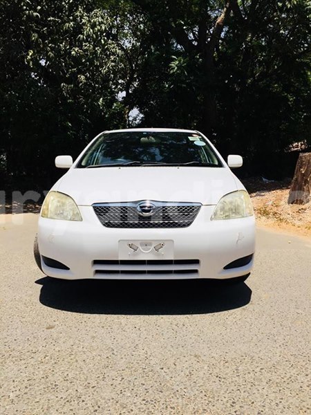 Big with watermark 42435076 713628862331378 1691674780513599488 n