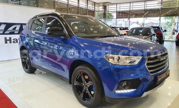 Buy Used Haval H2 Blue Car in Chipata in Zambia Buy Used Haval H2 Blue Car in Chipata in Zambia