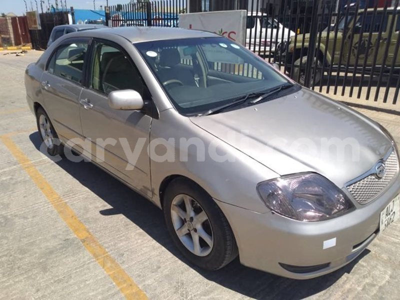 Big with watermark 42435076 713628862331378 1691674780513599488 n