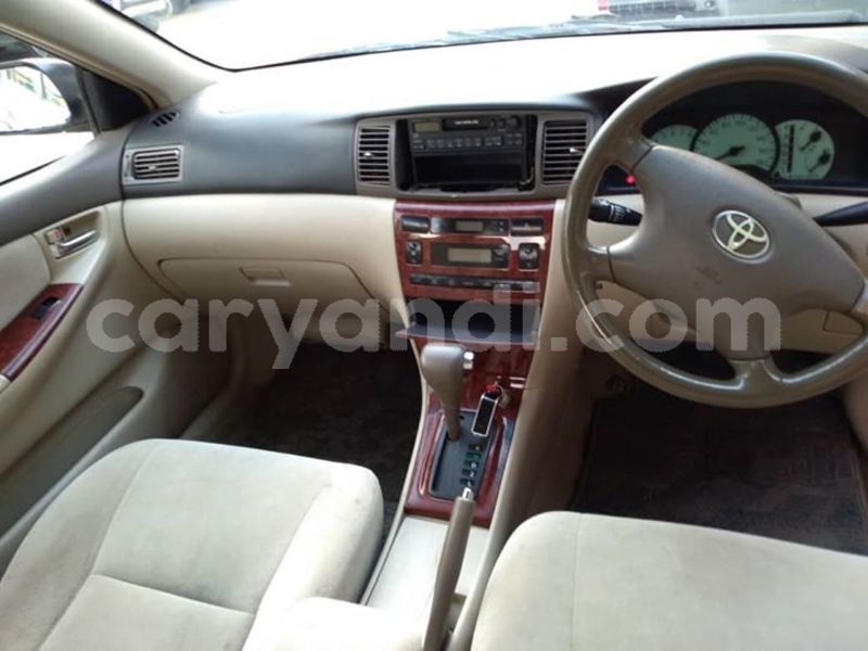 Big with watermark 43880256 157845481824638 895143421541351424 o