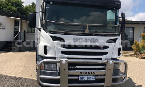 Buy Used Scania Irizar White Truck in Chililabombwe in Copperbelt Buy Used Scania Irizar White Truck in Chililabombwe in Copperbelt