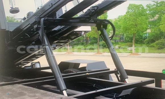 Acheter Occasion Utilitaire Isuzu FTR 850 Blanc à Chinsali, Nord Acheter Occasion Utilitaire Isuzu FTR 850 Blanc à Chinsali, Nord