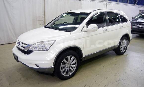 Acheter Import Voiture Honda CR–V Blanc à Lusaka, Zambie Acheter Import Voiture Honda CR–V Blanc à Lusaka, Zambie