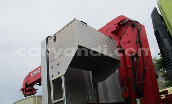 Buy Used Isuzu FTR 850 Green Truck in Chingola in Zambia Buy Used Isuzu FTR 850 Green Truck in Chingola in Zambia