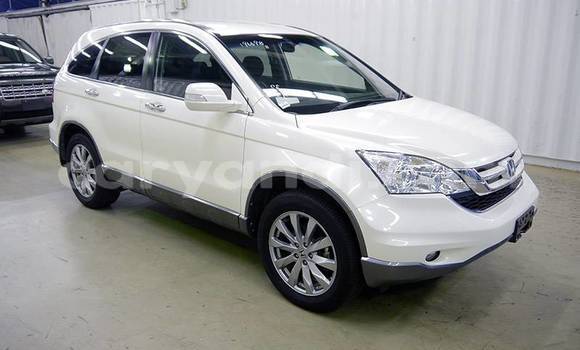 Acheter Import Voiture Honda CR–V Blanc à Lusaka, Zambie Acheter Import Voiture Honda CR–V Blanc à Lusaka, Zambie