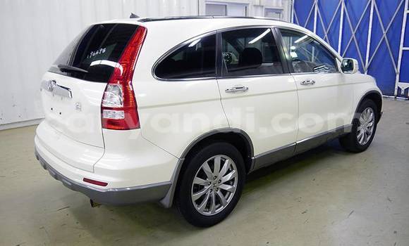 Acheter Import Voiture Honda CR–V Blanc à Lusaka, Zambie Acheter Import Voiture Honda CR–V Blanc à Lusaka, Zambie