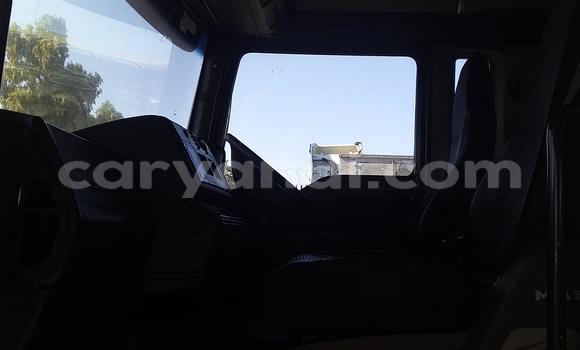Buy Used Man TGX White Truck in Chipata in Zambia Buy Used Man TGX White Truck in Chipata in Zambia