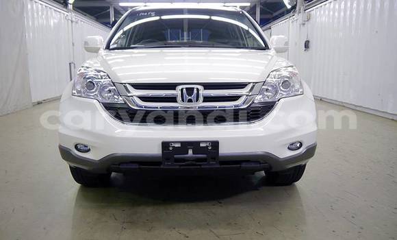 Acheter Import Voiture Honda CR–V Blanc à Lusaka, Zambie Acheter Import Voiture Honda CR–V Blanc à Lusaka, Zambie