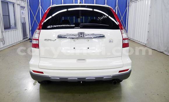 Acheter Import Voiture Honda CR–V Blanc à Lusaka, Zambie Acheter Import Voiture Honda CR–V Blanc à Lusaka, Zambie