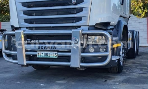 Buy Used Scania R420 White Truck in Limulunga in Western