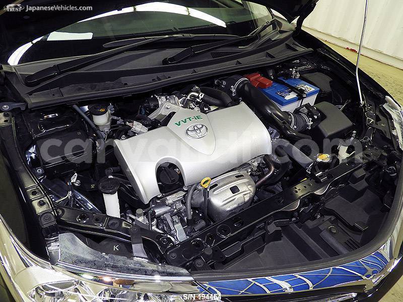 Big with watermark 25