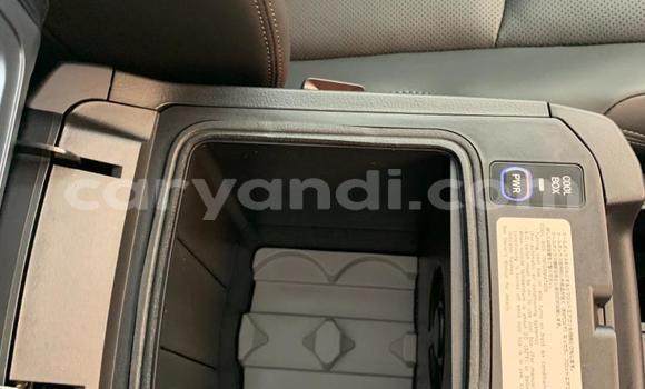 Tenga Itsva Toyota Land Cruiser Prado Chena Mota in Lusaka in Zambia Tenga Itsva Toyota Land Cruiser Prado Chena Mota in Lusaka in Zambia