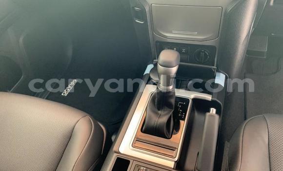 Tenga Itsva Toyota Land Cruiser Prado Chena Mota in Lusaka in Zambia Tenga Itsva Toyota Land Cruiser Prado Chena Mota in Lusaka in Zambia