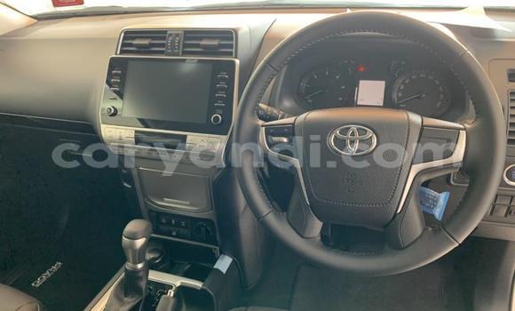 Tenga Itsva Toyota Land Cruiser Prado Chena Mota in Lusaka in Zambia Tenga Itsva Toyota Land Cruiser Prado Chena Mota in Lusaka in Zambia