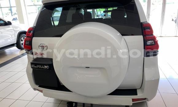 Tenga Itsva Toyota Land Cruiser Prado Chena Mota in Lusaka in Zambia Tenga Itsva Toyota Land Cruiser Prado Chena Mota in Lusaka in Zambia