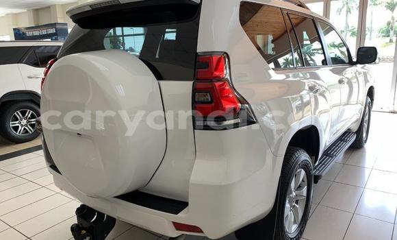 Tenga Itsva Toyota Land Cruiser Prado Chena Mota in Lusaka in Zambia Tenga Itsva Toyota Land Cruiser Prado Chena Mota in Lusaka in Zambia