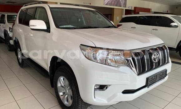 Tenga Itsva Toyota Land Cruiser Prado Chena Mota in Lusaka in Zambia Tenga Itsva Toyota Land Cruiser Prado Chena Mota in Lusaka in Zambia