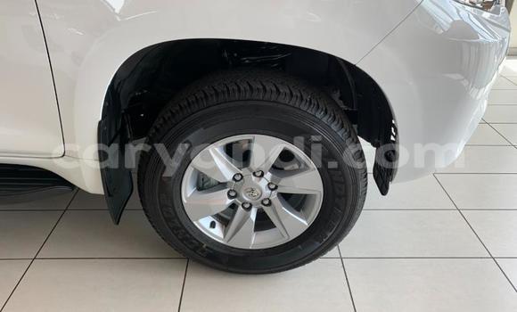 Tenga Itsva Toyota Land Cruiser Prado Chena Mota in Lusaka in Zambia Tenga Itsva Toyota Land Cruiser Prado Chena Mota in Lusaka in Zambia