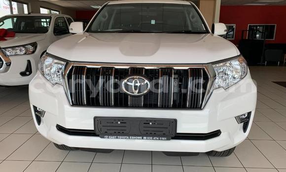 Tenga Itsva Toyota Land Cruiser Prado Chena Mota in Lusaka in Zambia Tenga Itsva Toyota Land Cruiser Prado Chena Mota in Lusaka in Zambia