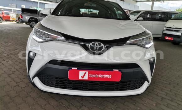 Buy Used Toyota C-HR White Car in Lusaka in Zambia