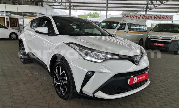 Tenga Tsaru Toyota C-HR Chena Mota in Lusaka in Zambia Tenga Tsaru Toyota C-HR Chena Mota in Lusaka in Zambia