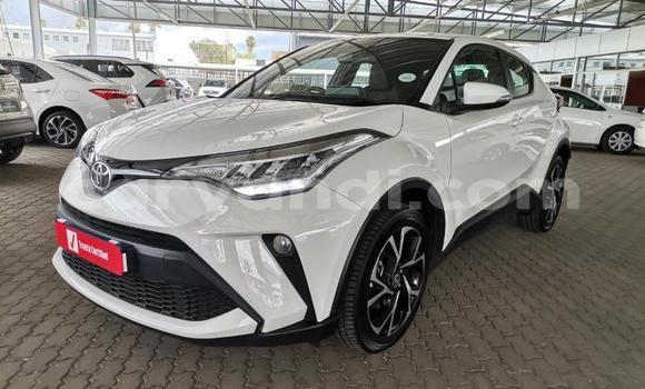 Tenga Tsaru Toyota C-HR Chena Mota in Lusaka in Zambia Tenga Tsaru Toyota C-HR Chena Mota in Lusaka in Zambia