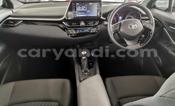 Tenga Tsaru Toyota C-HR Chena Mota in Lusaka in Zambia Tenga Tsaru Toyota C-HR Chena Mota in Lusaka in Zambia