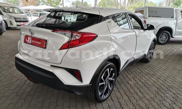 Tenga Tsaru Toyota C-HR Chena Mota in Lusaka in Zambia Tenga Tsaru Toyota C-HR Chena Mota in Lusaka in Zambia