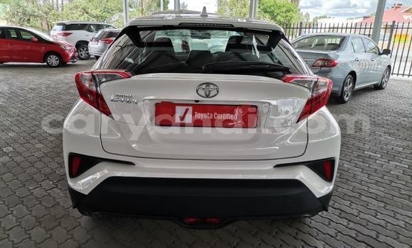 Tenga Tsaru Toyota C-HR Chena Mota in Lusaka in Zambia Tenga Tsaru Toyota C-HR Chena Mota in Lusaka in Zambia