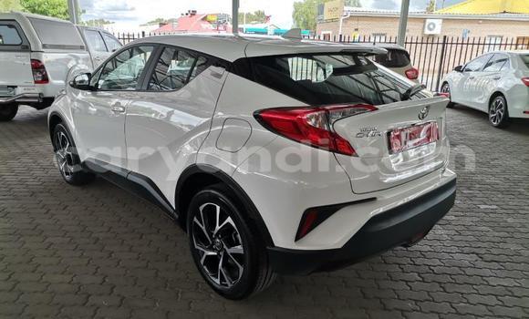 Tenga Tsaru Toyota C-HR Chena Mota in Lusaka in Zambia Tenga Tsaru Toyota C-HR Chena Mota in Lusaka in Zambia