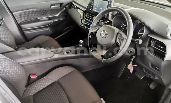 Tenga Tsaru Toyota C-HR Chena Mota in Lusaka in Zambia Tenga Tsaru Toyota C-HR Chena Mota in Lusaka in Zambia